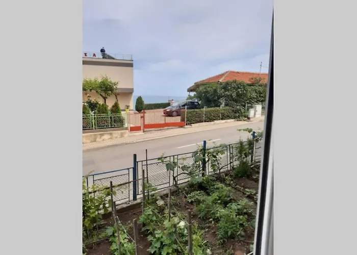 самостоятелен на брега на морето *